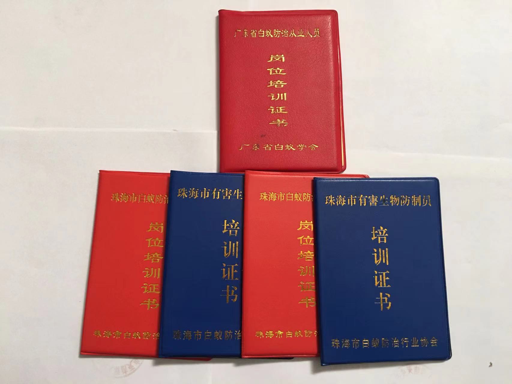 中山为什么会有白蚁 中山白蚁防治 中山白