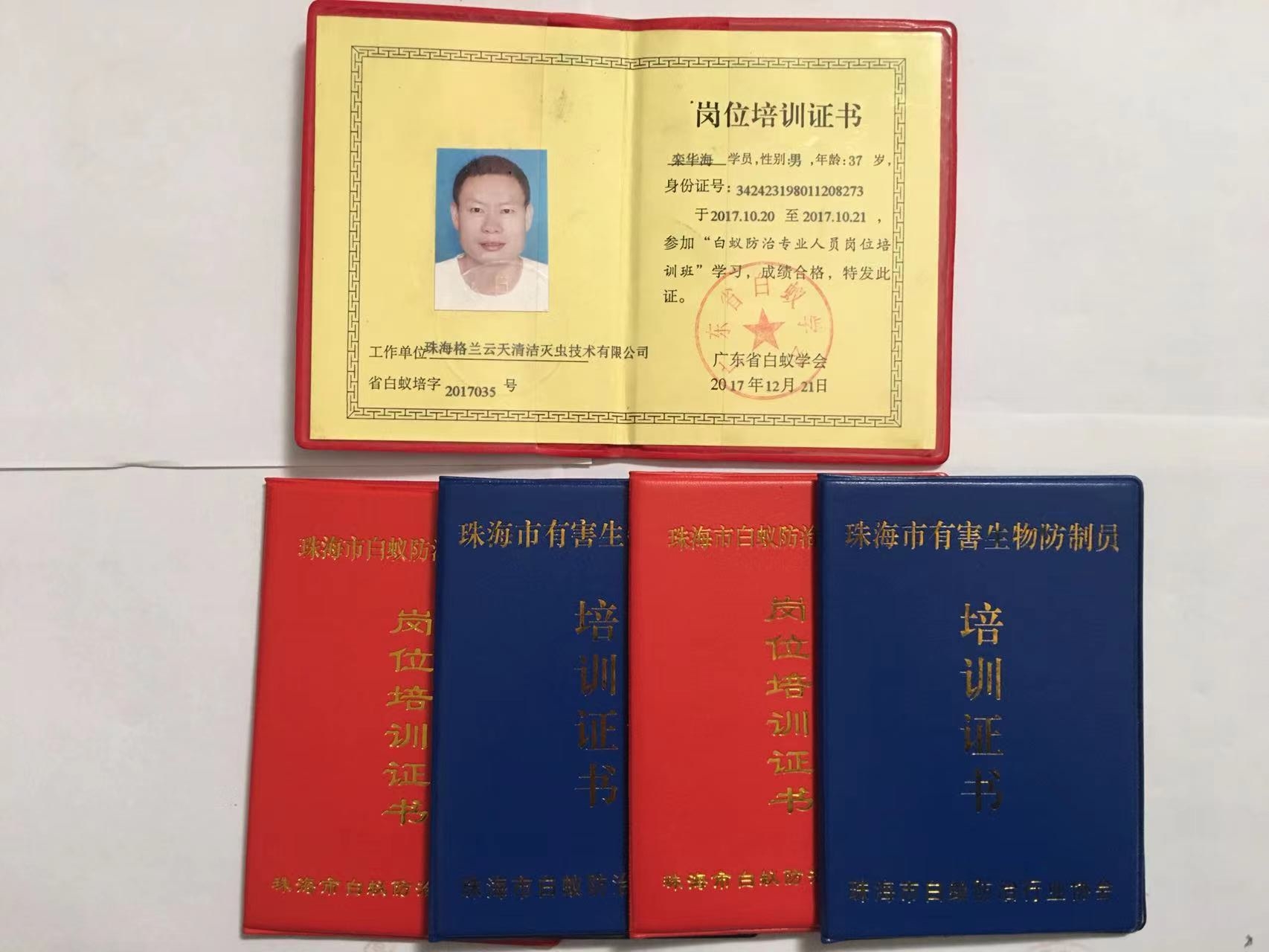 中山白蚁防治中心提醒:如果白蚁飞入房屋怎